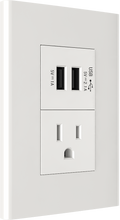 USB module with one American style socket