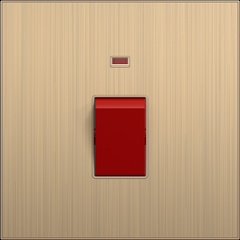 20A DP switch
