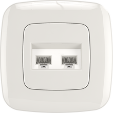 (Computer or Tel)+(Computer or Tel) Socket