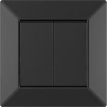 10A 250V~2 gang 1 way switch