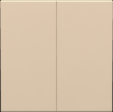 16A 250V~ 2 gang 1 way switch