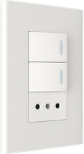 2 gang switch with one Chilean style socket
