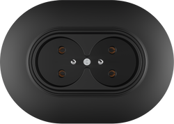 16A 250V~Double French socket