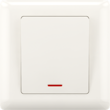 20A DP switch(big)