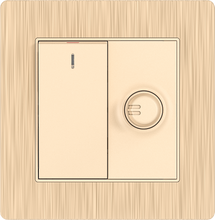 16A 250V 1 Gang Switch with 250W Light Dimmer