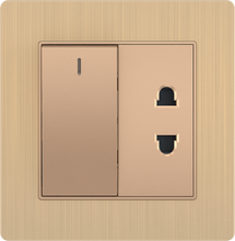 16A 250V 1 Gang Switch with2 Pin Socket