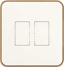 16A 250V~ 2 gang  1 way switch(small)