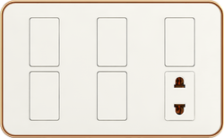 16A 250V~ 5 switch with 1 socket
