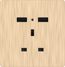 13A 250V 3 Pin Socket with Double USB 2A