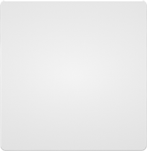 Blank Plate