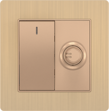 16A 250V 1 Gang Switch with 250W Light Dimmer