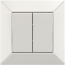 10A 250V~2 gang 1 way switch