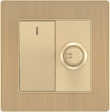 16A 250V 1 Gang Switch with 250W Light Dimmer