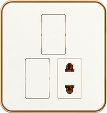 16A 250V~ 2 switch with 1 socket