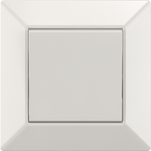 10A 250V~1 gang 1 way switch