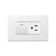 one way switch with one America style socket