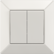 10A 250V~2 gang 1 way switch