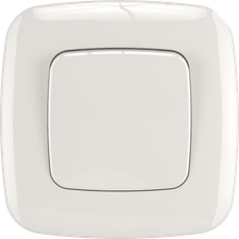 16A 250V~1 gang 1 way switch