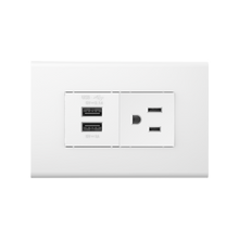 USB（2.1A+1A）&one Amercian style socket