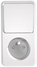 French socket with 1 gang switch