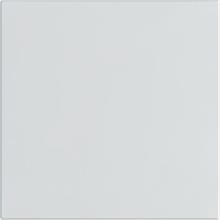 Blank plate