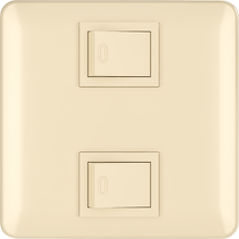 10A 250V 2 gang 1 way switch