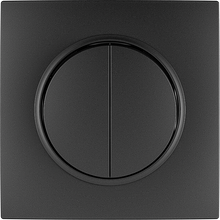 10A 250V~2 gang 1 way switch