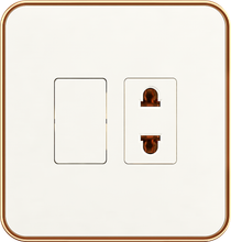 16A 250V~ 1 switch with 1 socket