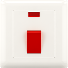 20A DP switch