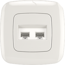 (Computer or Tel)+(Computer or Tel) Socket