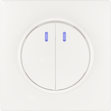 2 gang 1 way switch with light